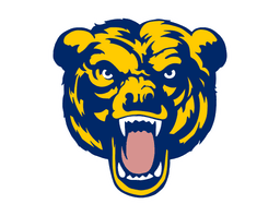 Bruins} profile picture