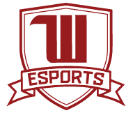 Witt_Esports} profile picture