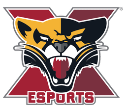 Saint Xavier Esports} profile picture