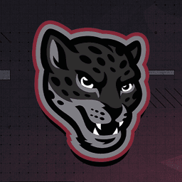 TAMUSA Esports} profile picture