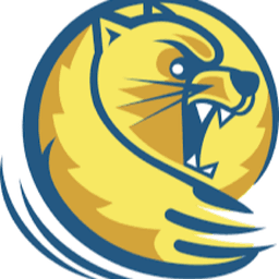 Lander Esports} profile picture