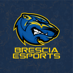 Brescia Esports} profile picture